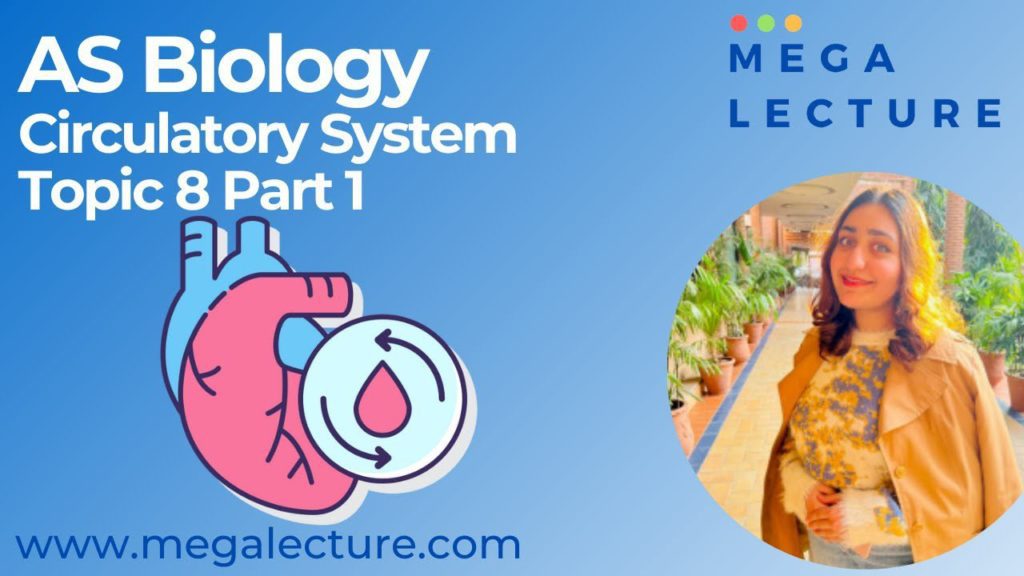AS Biology Circulatory System
