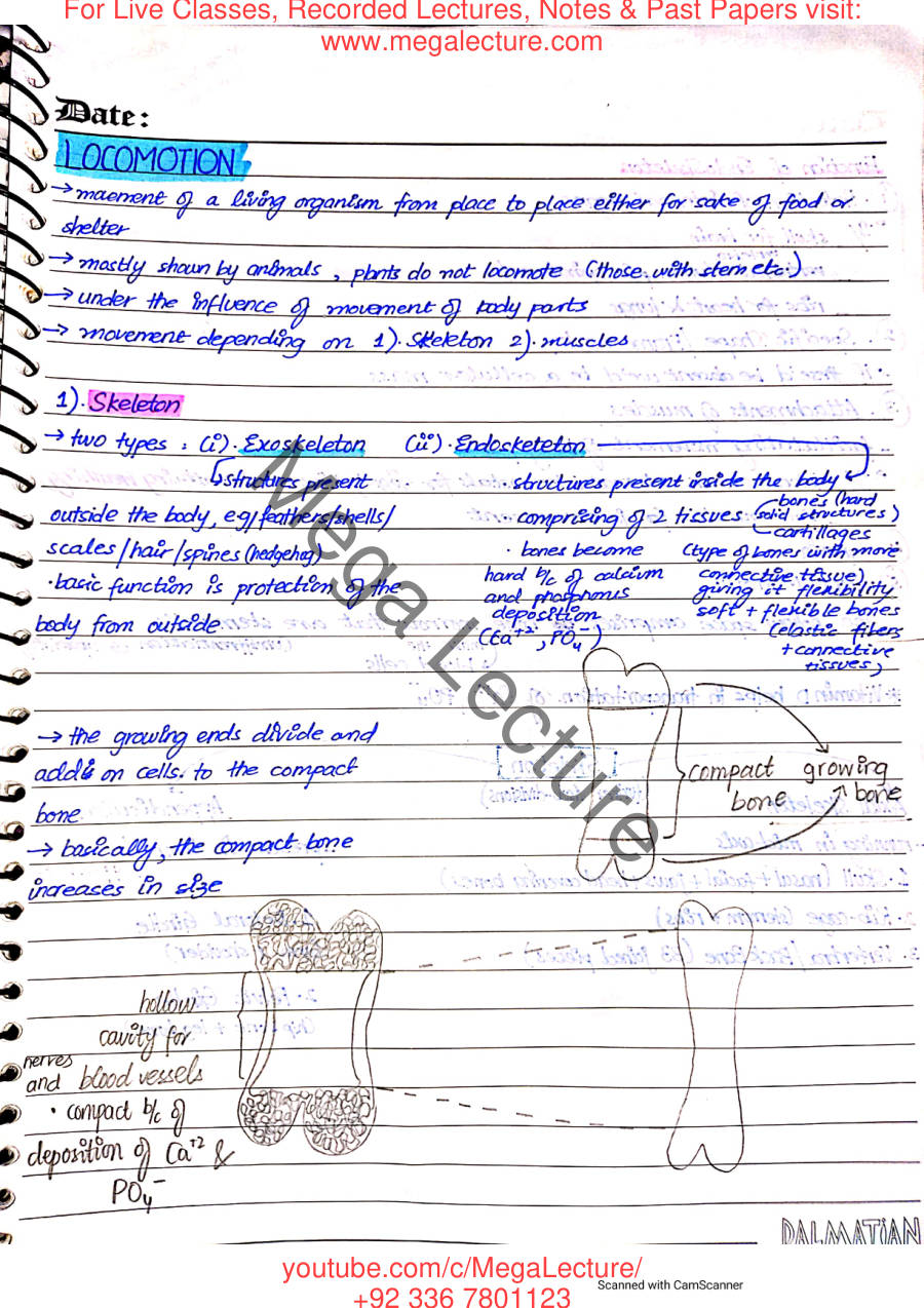 Page 1 of Locomotion