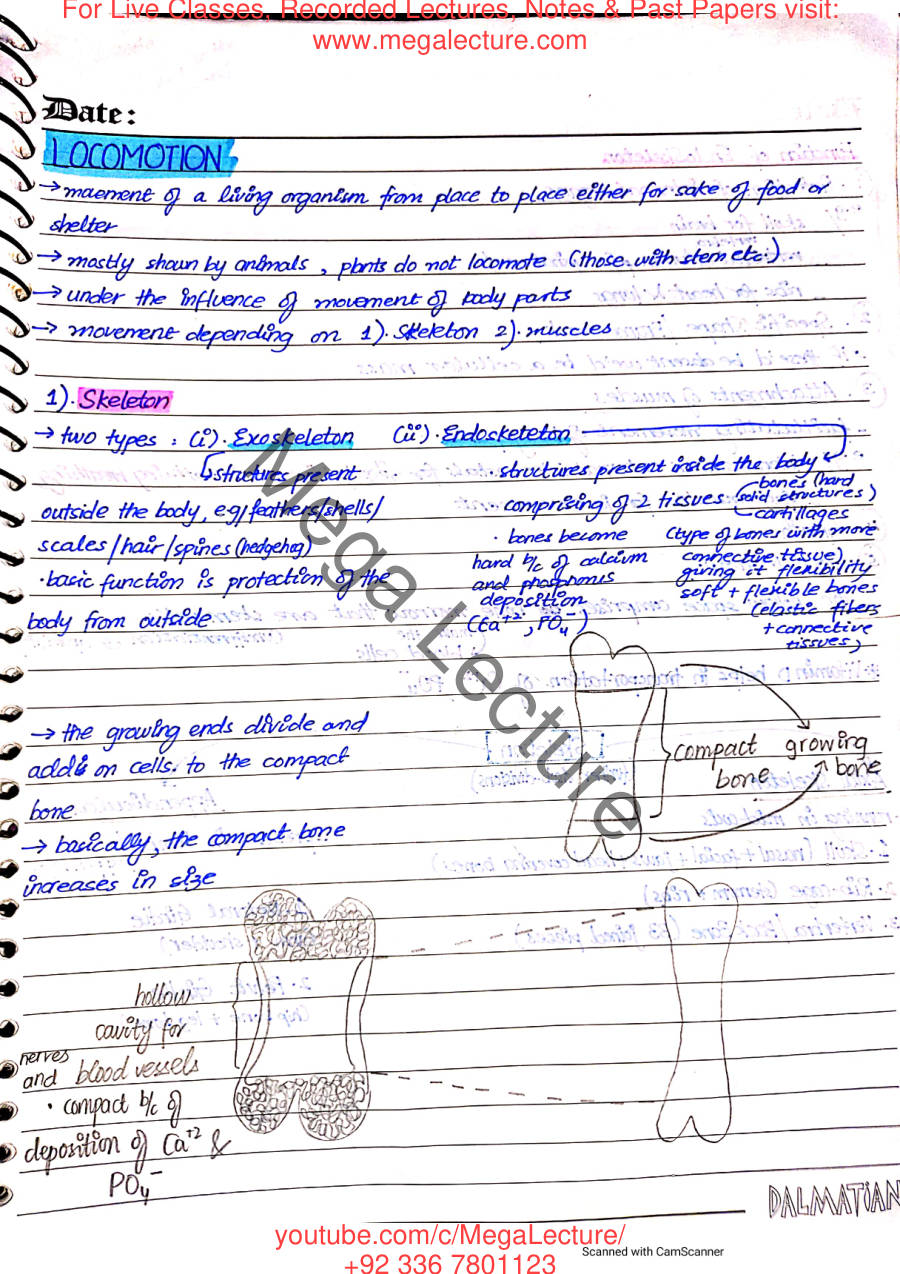 Page 2 of Locomotion