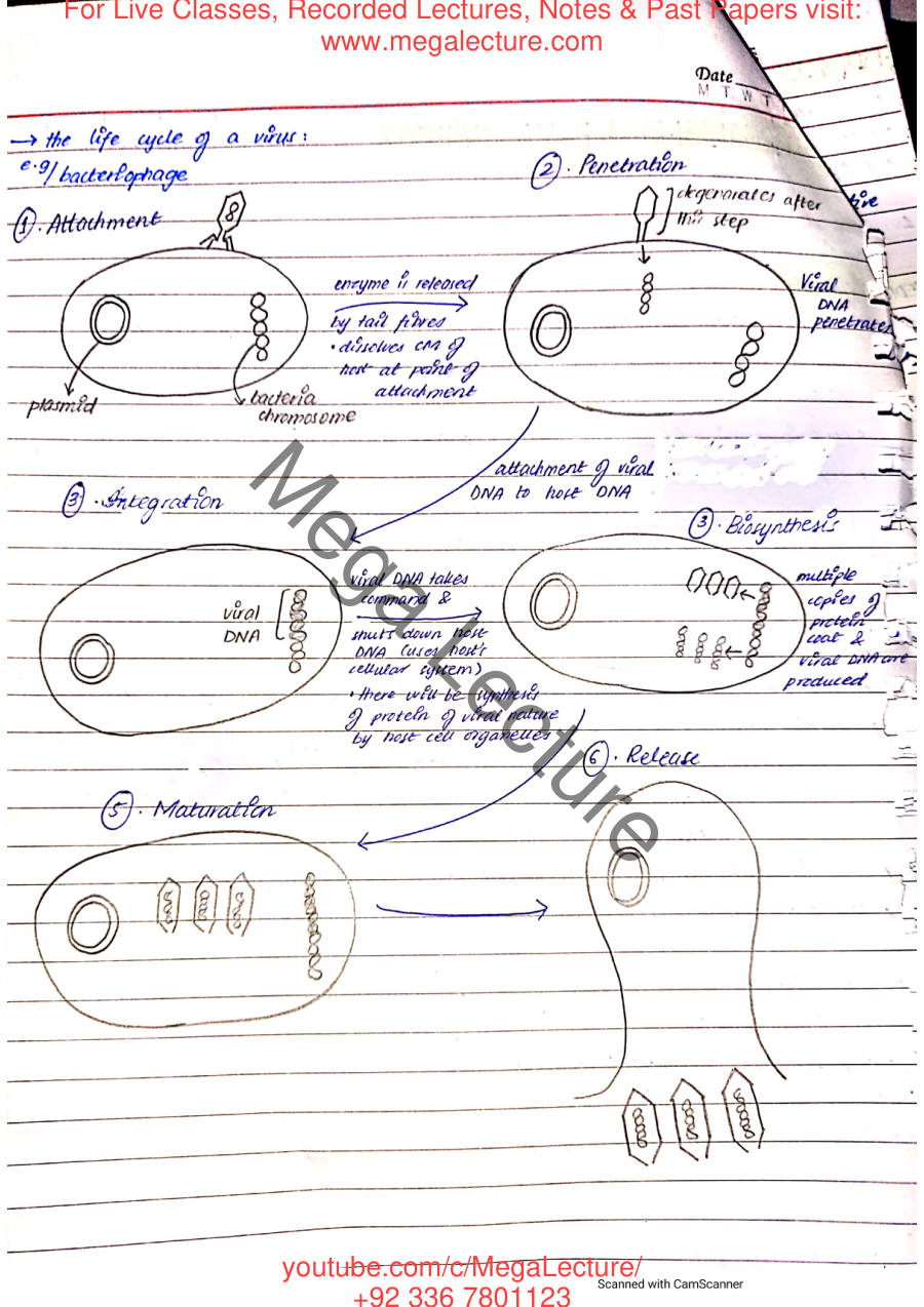 Page 2 of Microorganisms & Biotechnology