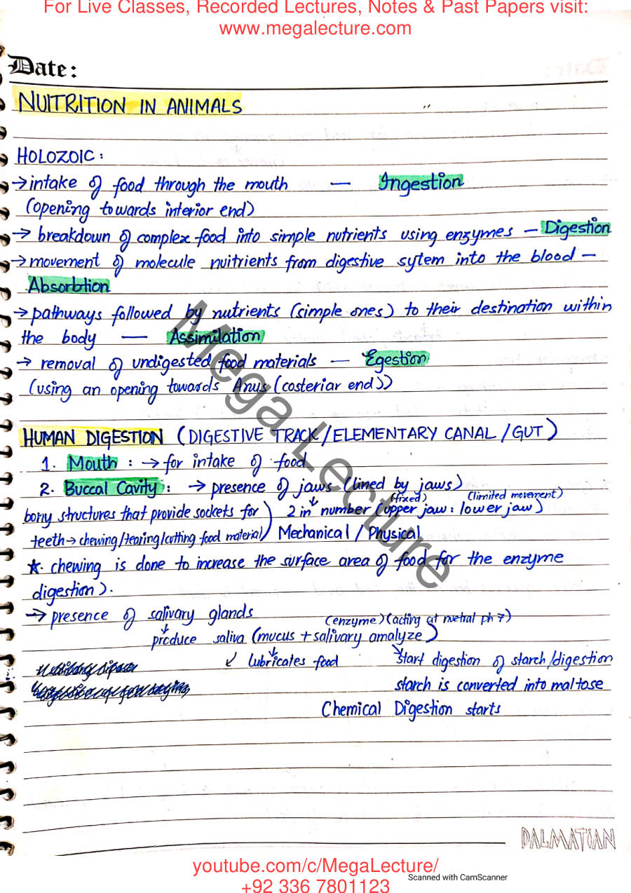 Page 1 of Nutrition in Animals