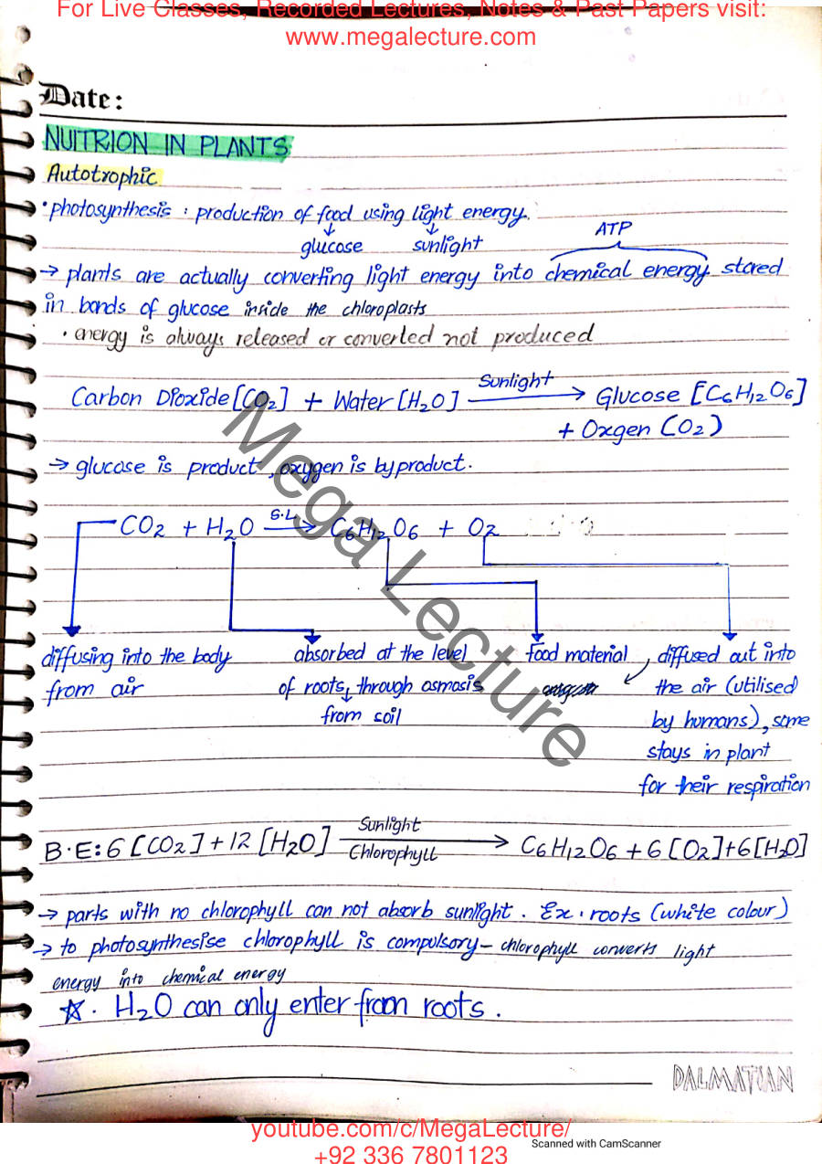 Page 1 of Nutrition in Plants