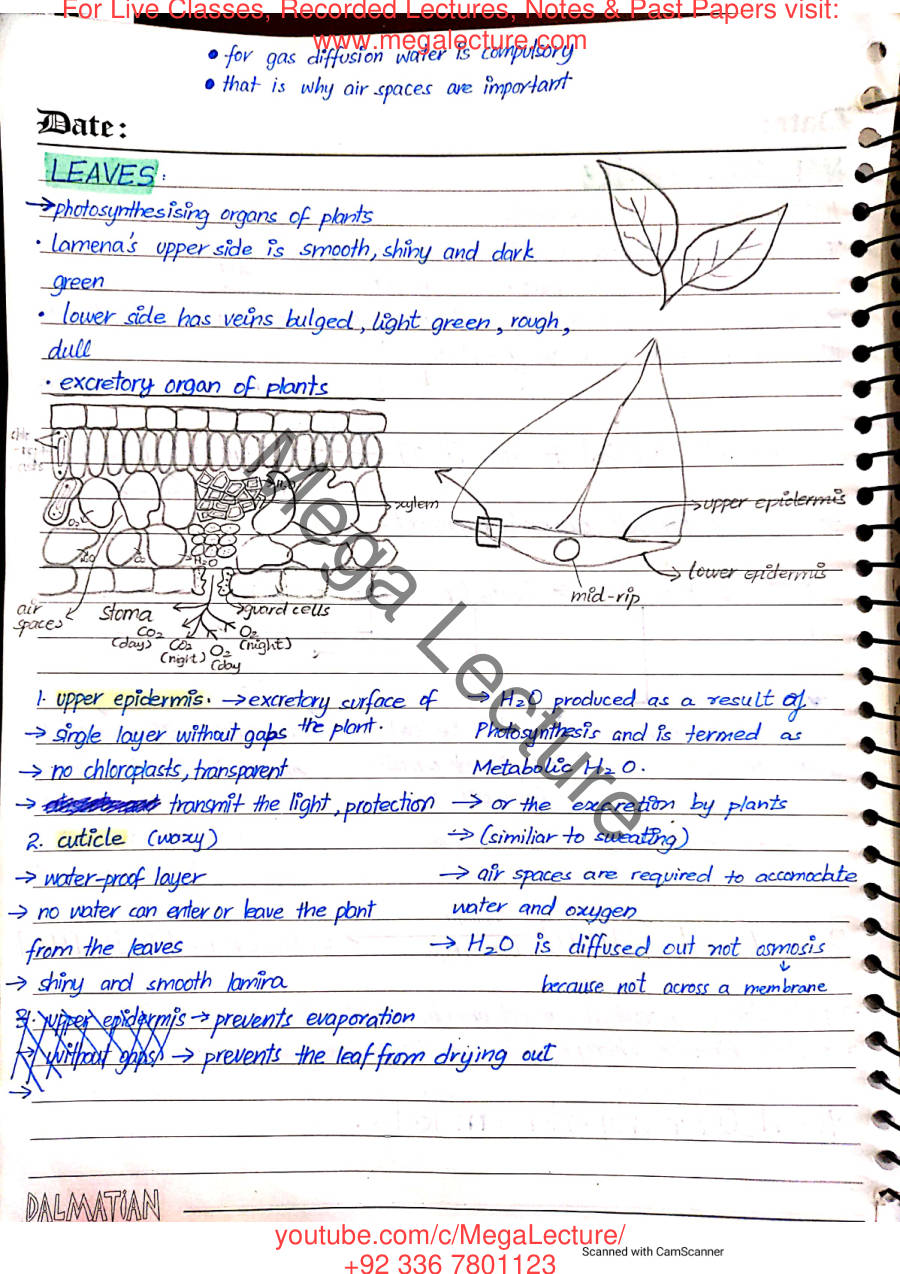 Page 2 of Nutrition in Plants