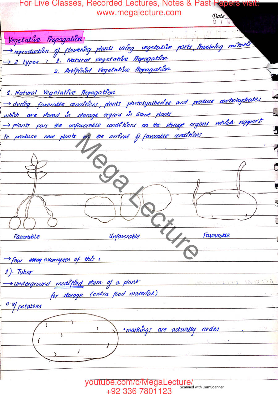 Page 2 of Reproduction in Plants