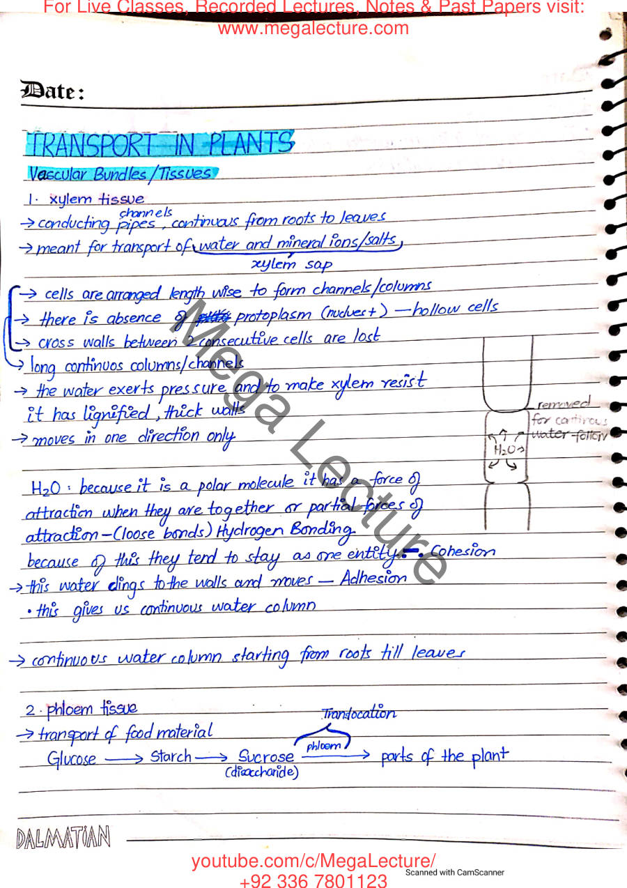 Page 1 of Transport in Plants