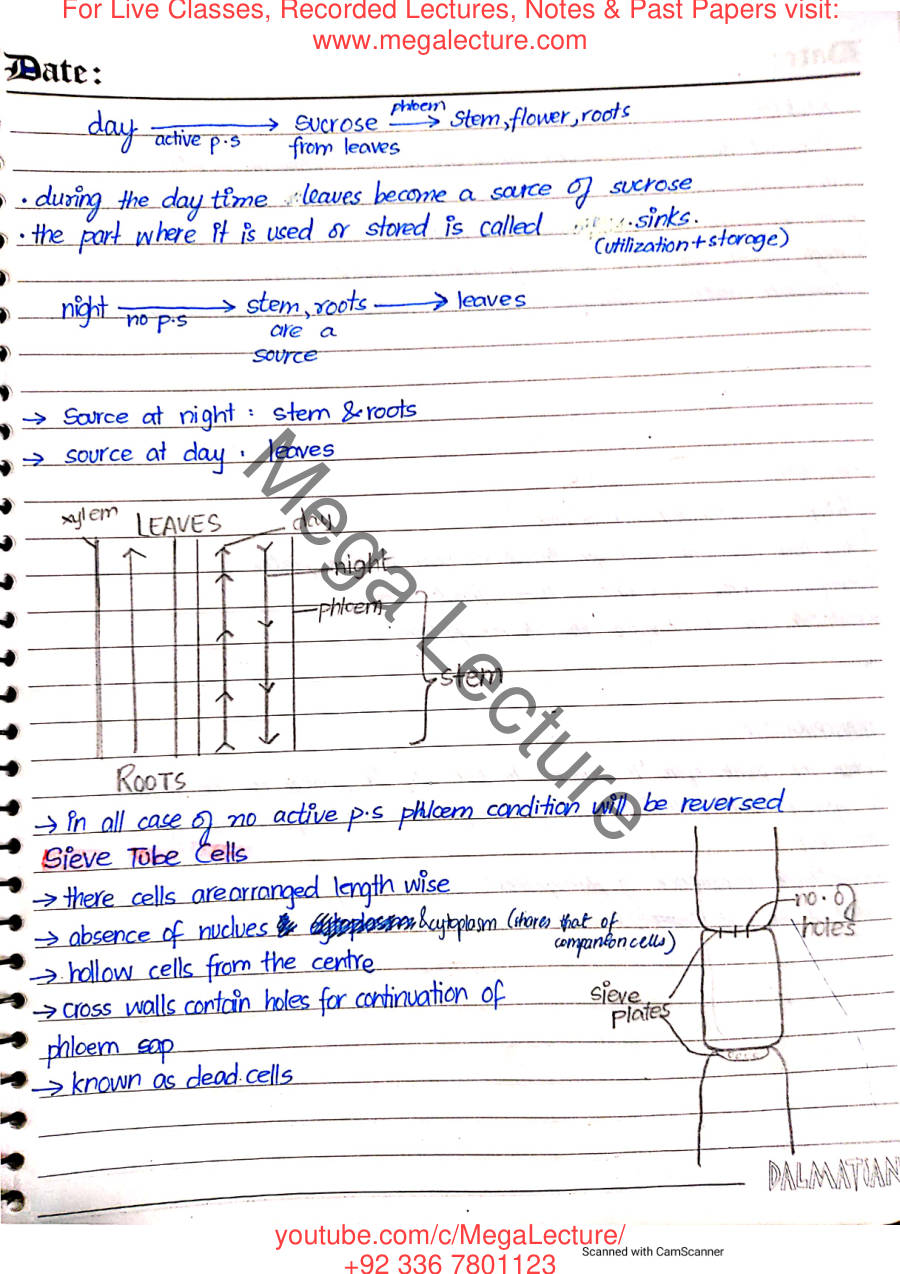 Page 2 of Transport in Plants