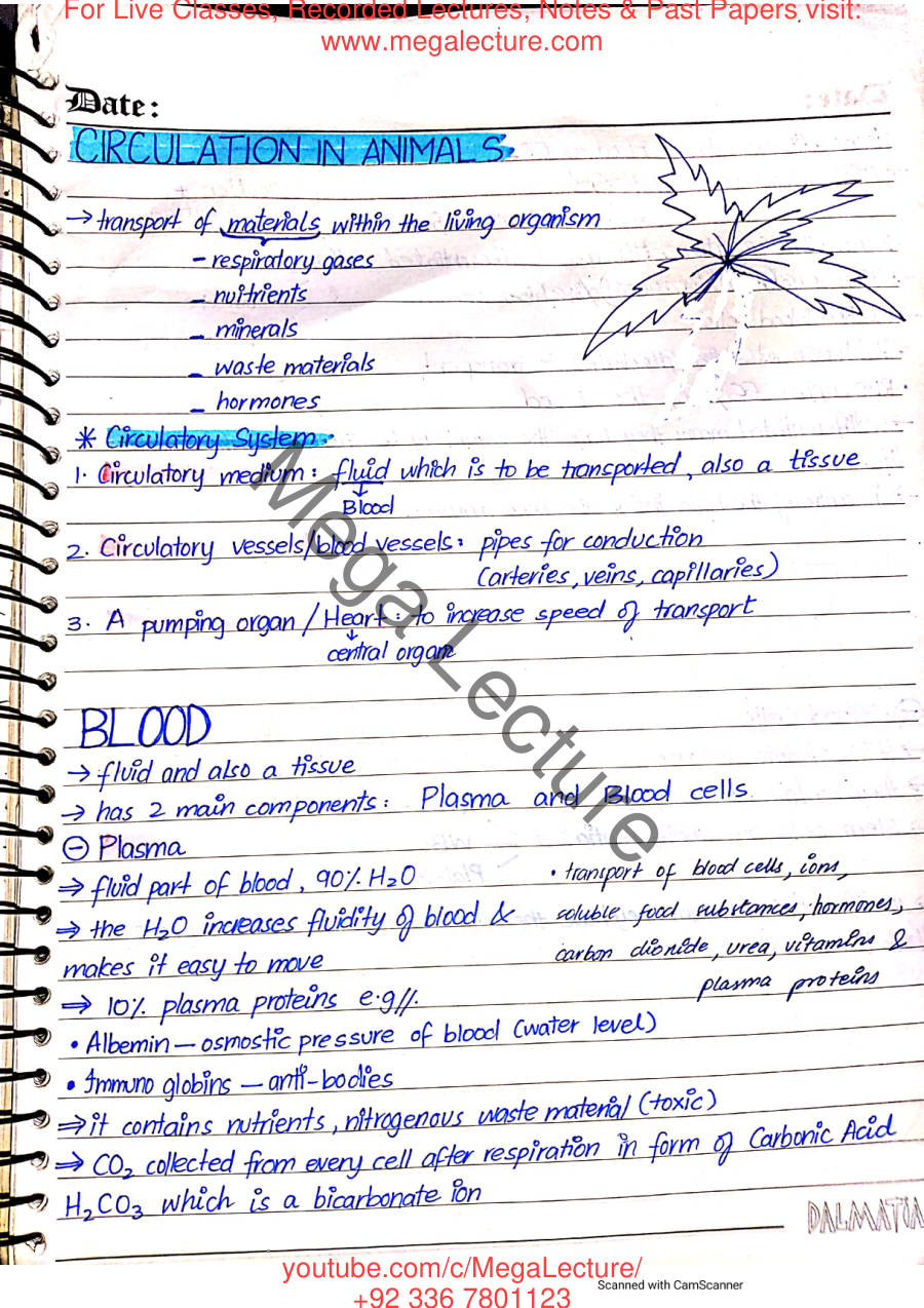 Page 1 of Transport in Humans
