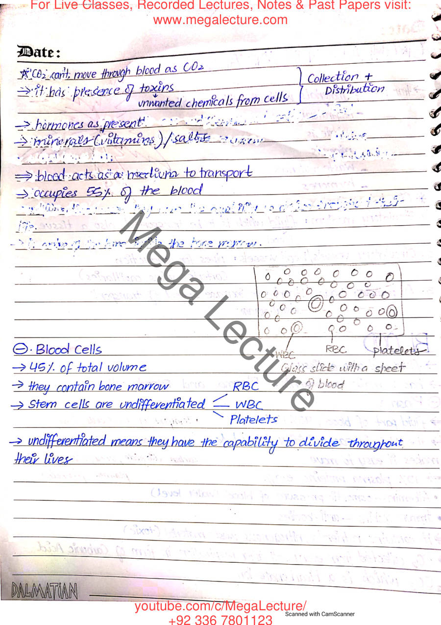 Page 2 of Transport in Humans