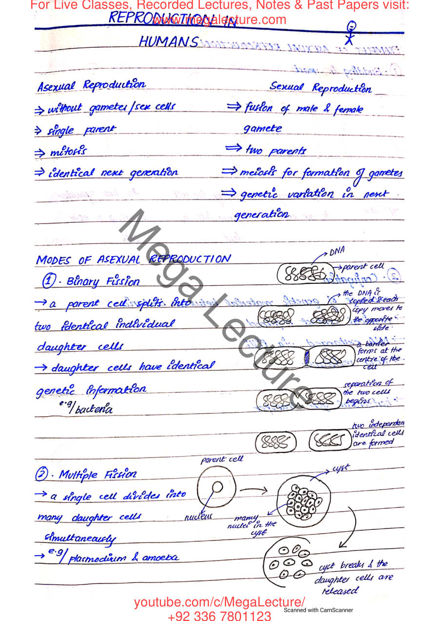 Page 1 of Reproduction in Humans