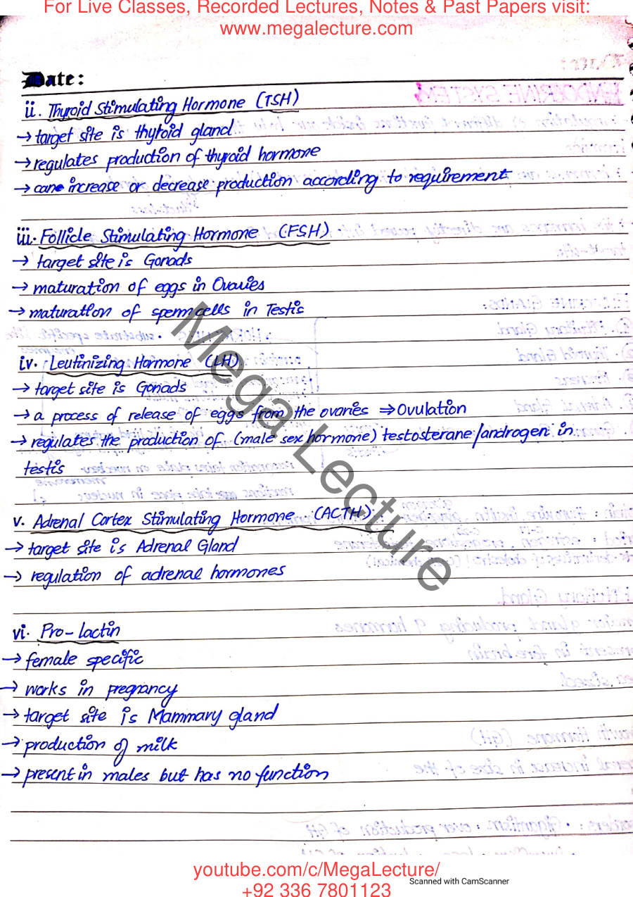 Page 2 of The Endocrine System