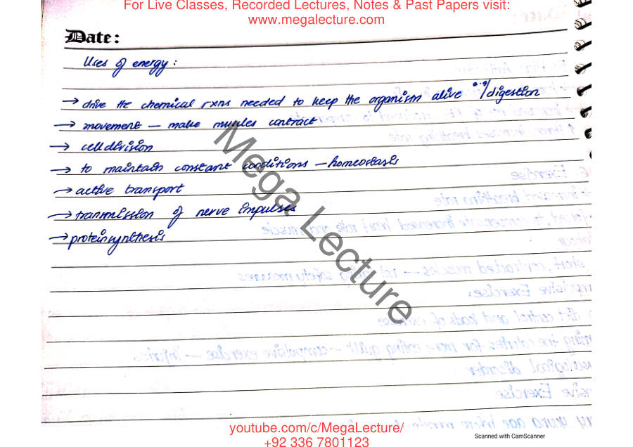 Page 1 of Excretion