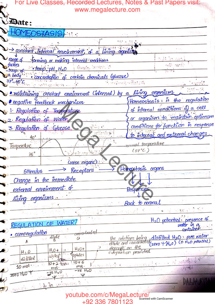 Page 1 of Homeostasis