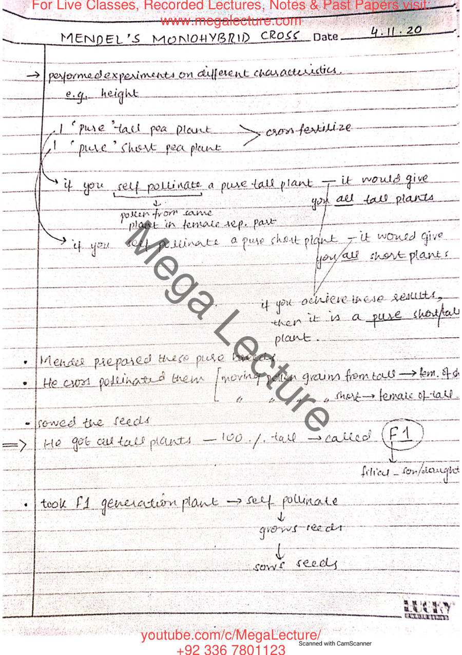 Page 1 of Inheritance