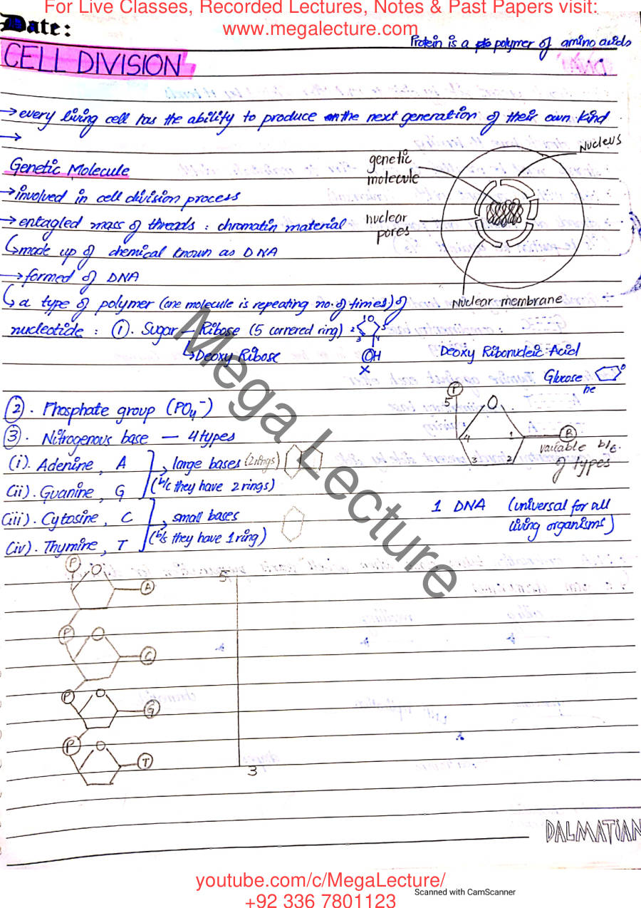 Page 1 of Cell Division