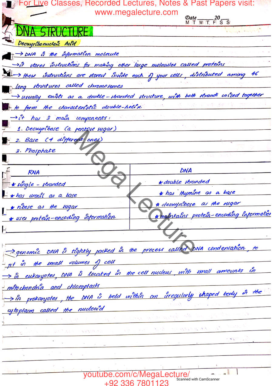 Page 1 of DNA Structure & Inheritance