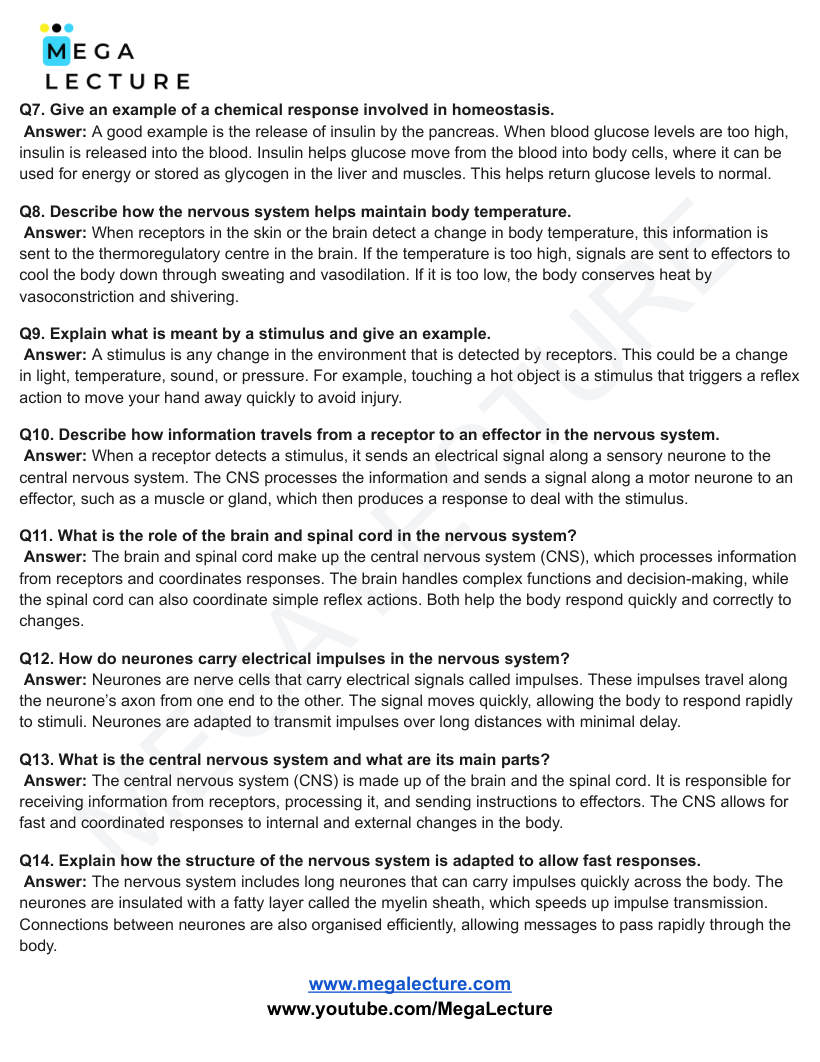 Page 2 of Homeostasis And Response — Worksheet