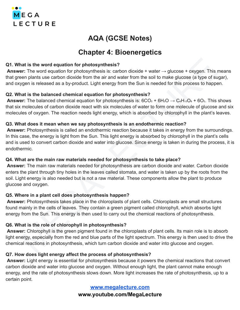 Page 1 of Bioenergetics — Worksheet