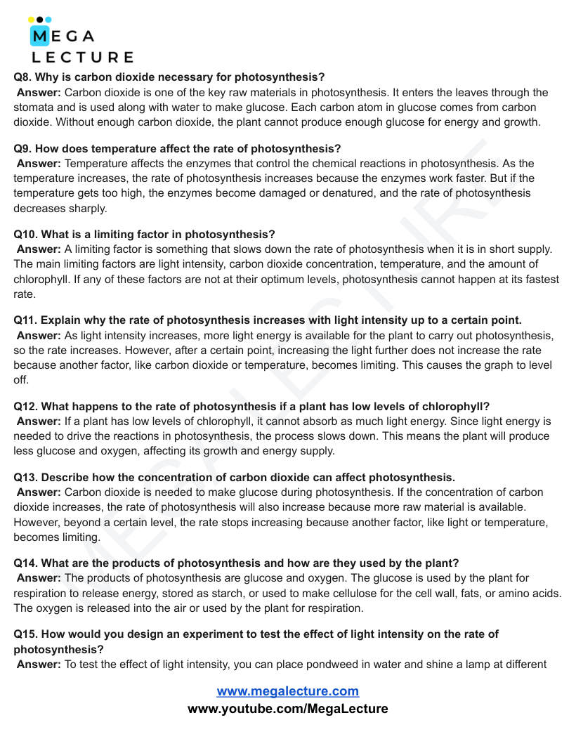Page 2 of Bioenergetics — Worksheet