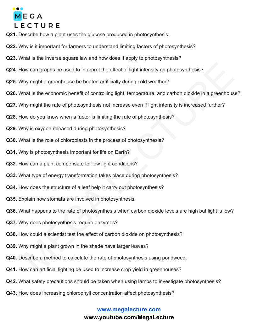 Page 2 of Bioenergetics — Questions