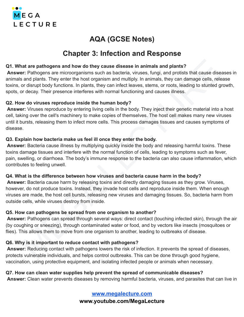 Page 1 of Infection And Response — Worksheet