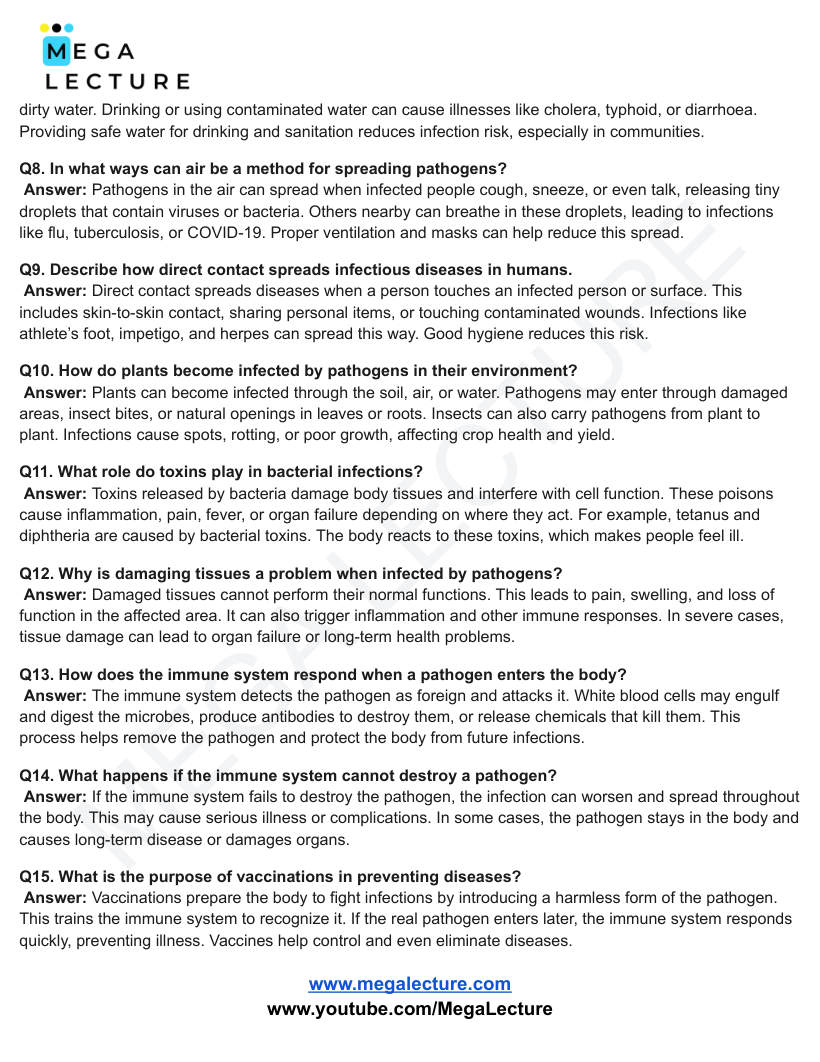 Page 2 of Infection And Response — Worksheet