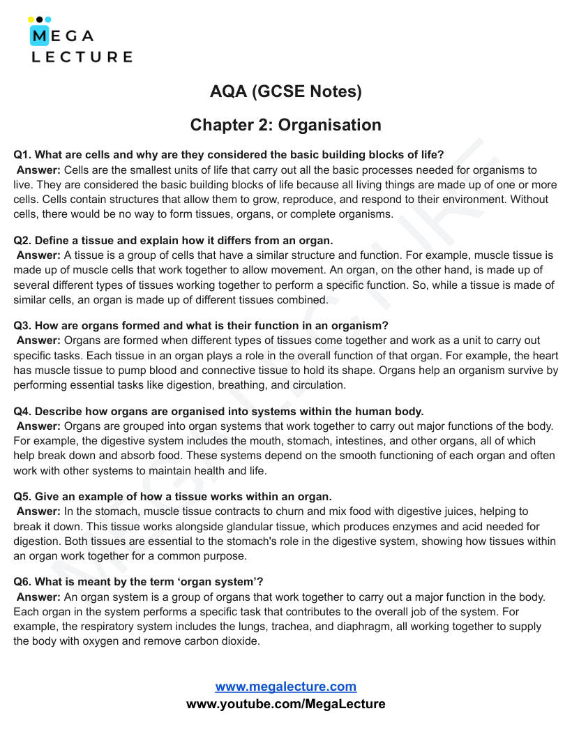 Page 1 of Organisation — Worksheet