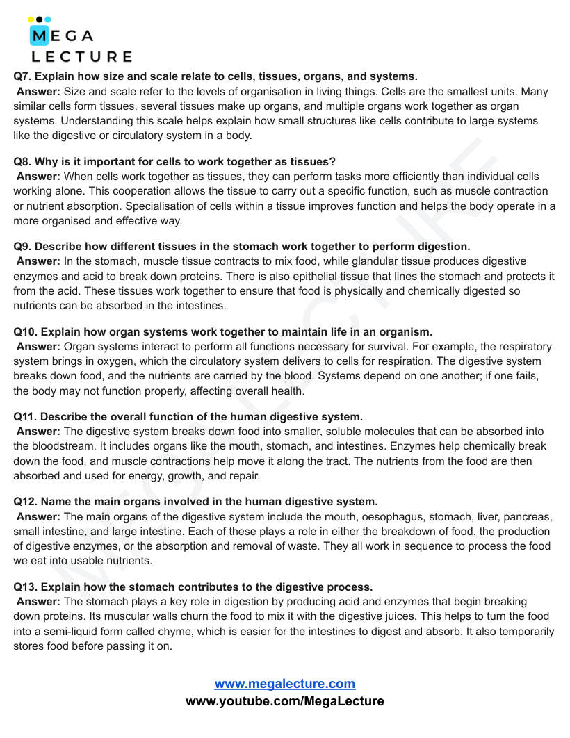 Page 2 of Organisation — Worksheet