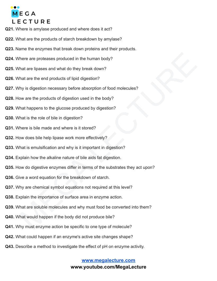 Page 2 of Organisation — Questions