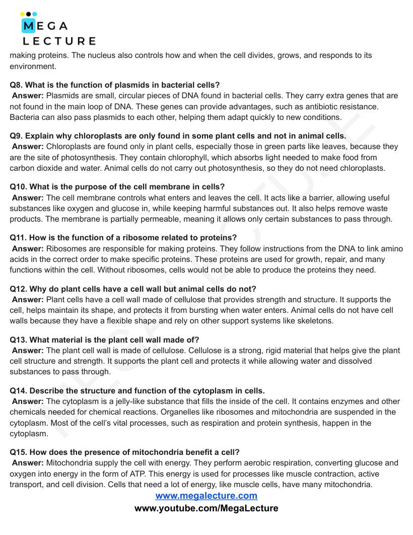 Page 2 of Cell Biology — Worksheet