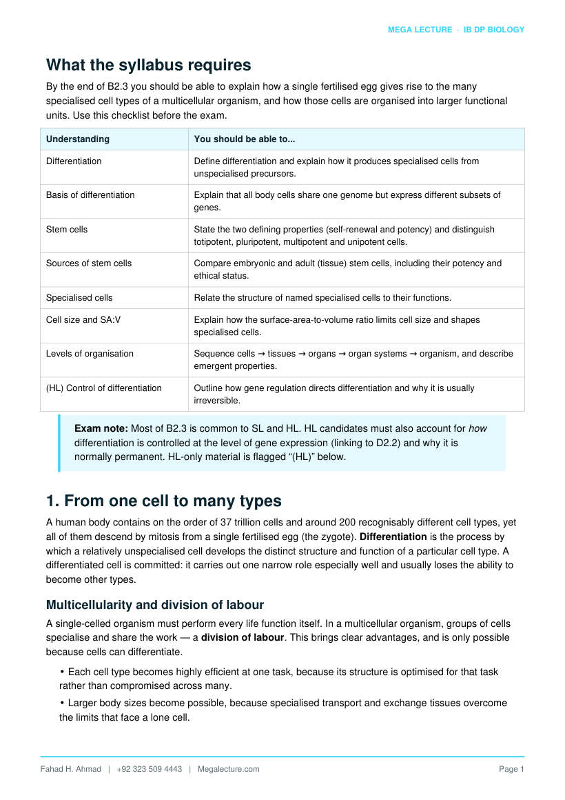 Page 2 of B2.3 Cell Specialization