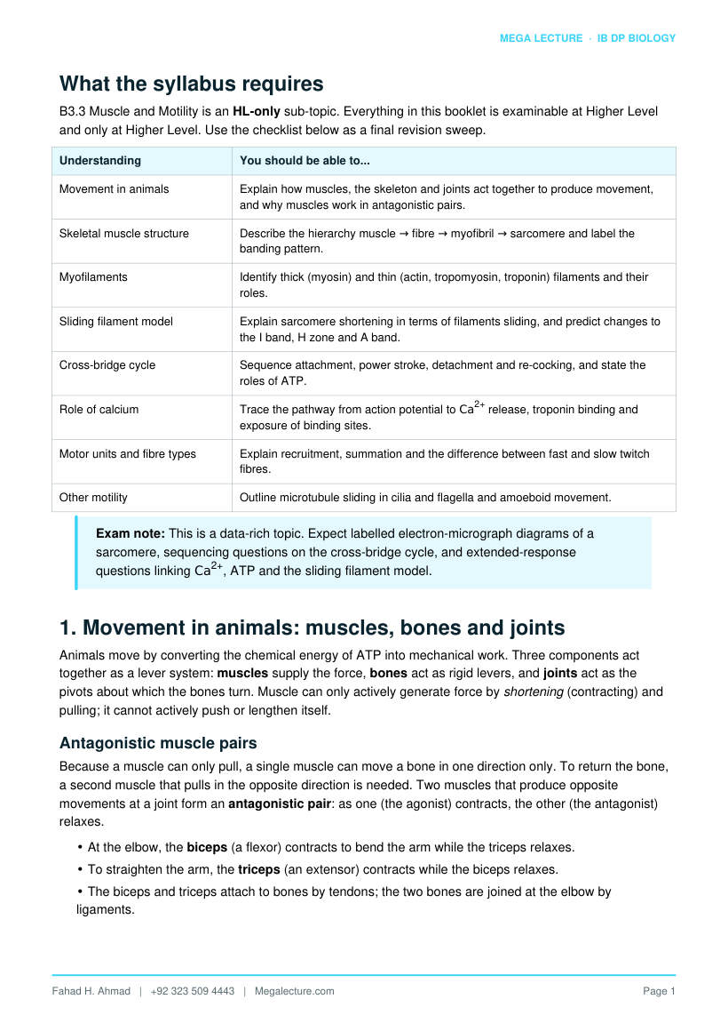 Page 2 of B3.3 Muscle and Motility (HL)