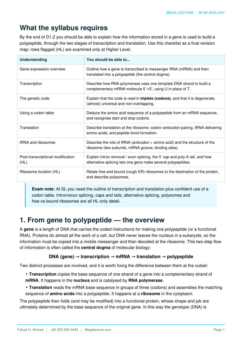 Page 2 of D1.2 Protein Synthesis