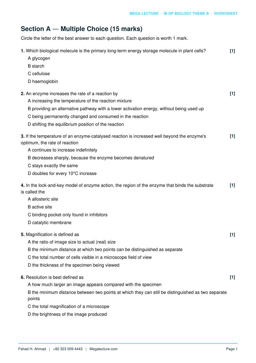 Page 2 of Theme B Worksheet