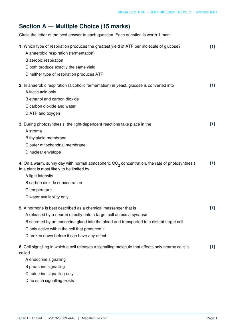 Page 2 of Theme C Worksheet