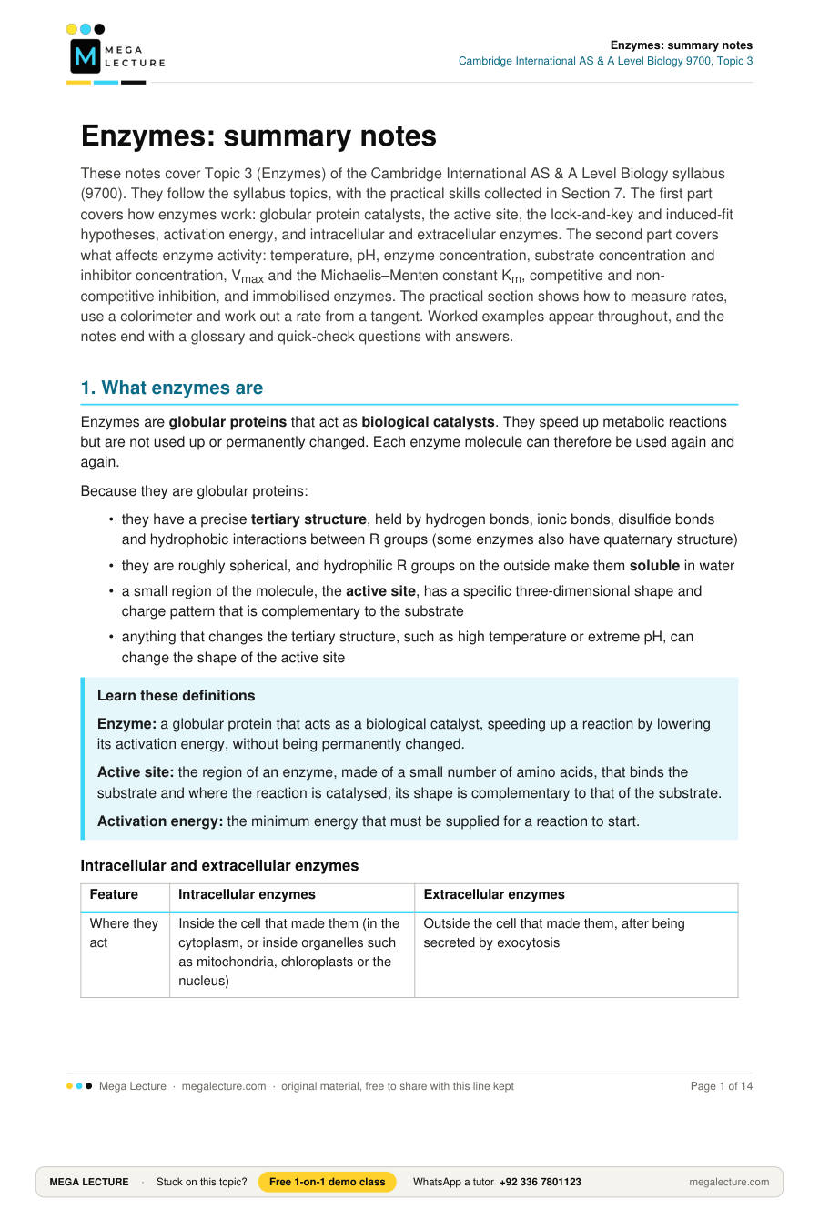 Page 1 of Enzymes: summary notes