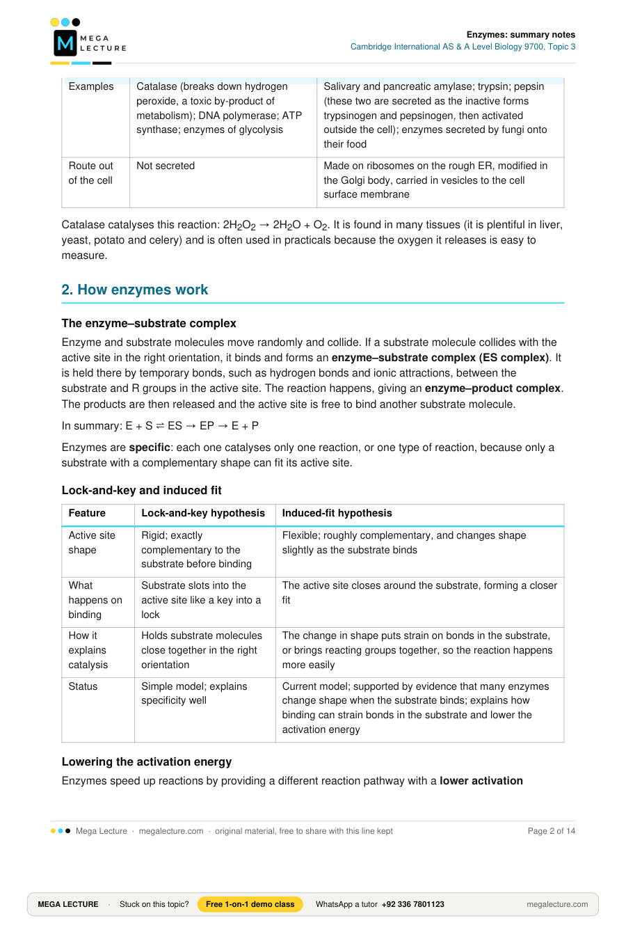 Page 2 of Enzymes: summary notes