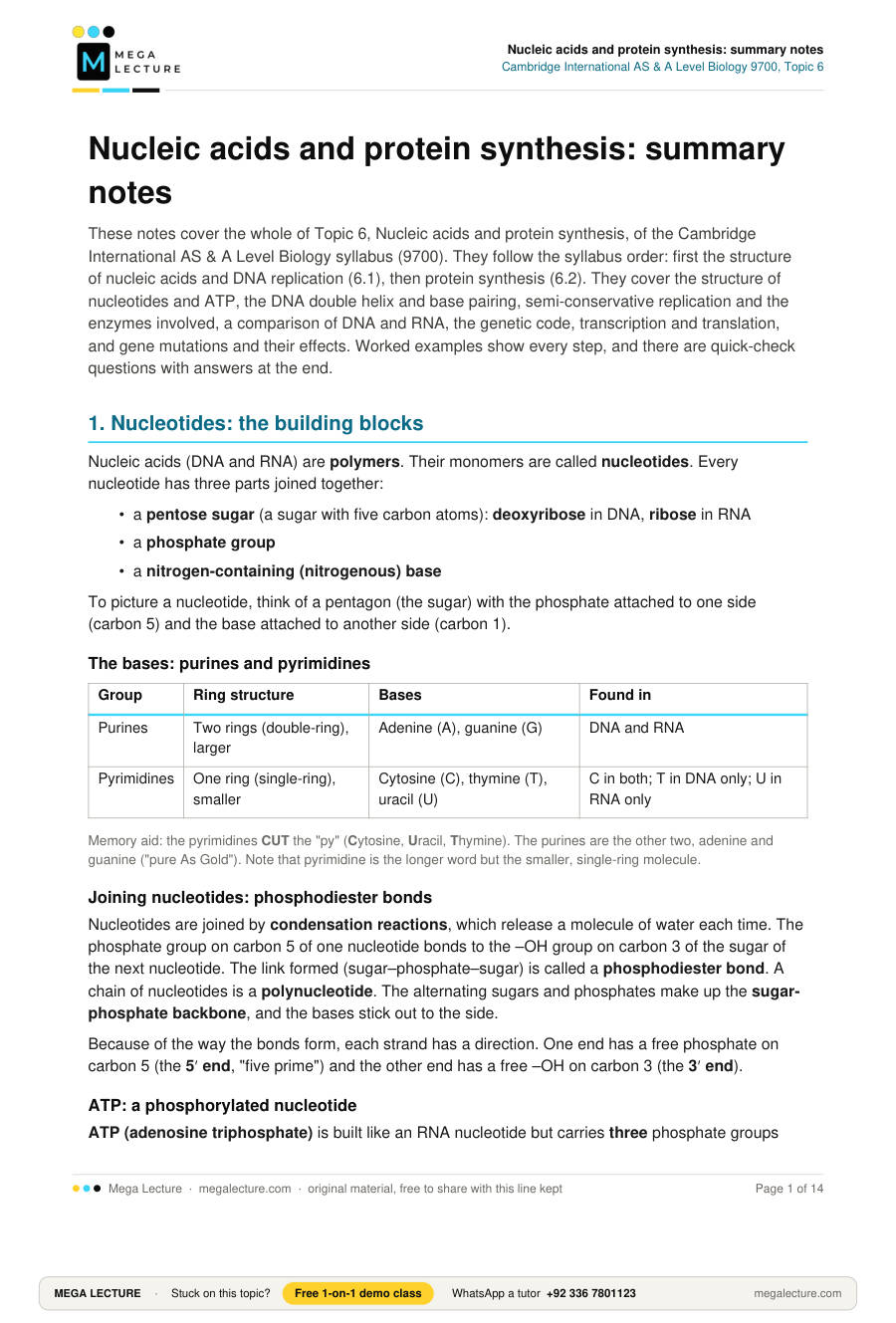 Page 1 of Nucleic acids and protein synthesis: summary notes