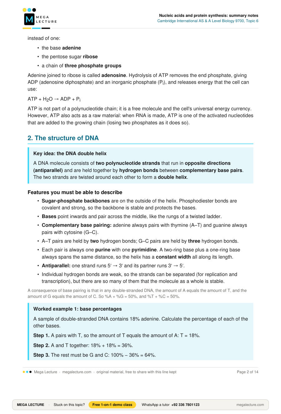 Page 2 of Nucleic acids and protein synthesis: summary notes