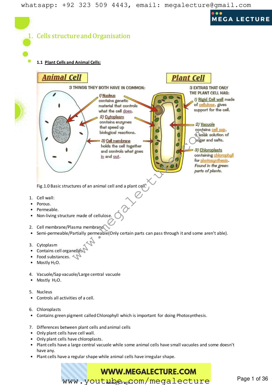 Page 1 of O Level Biology Notes