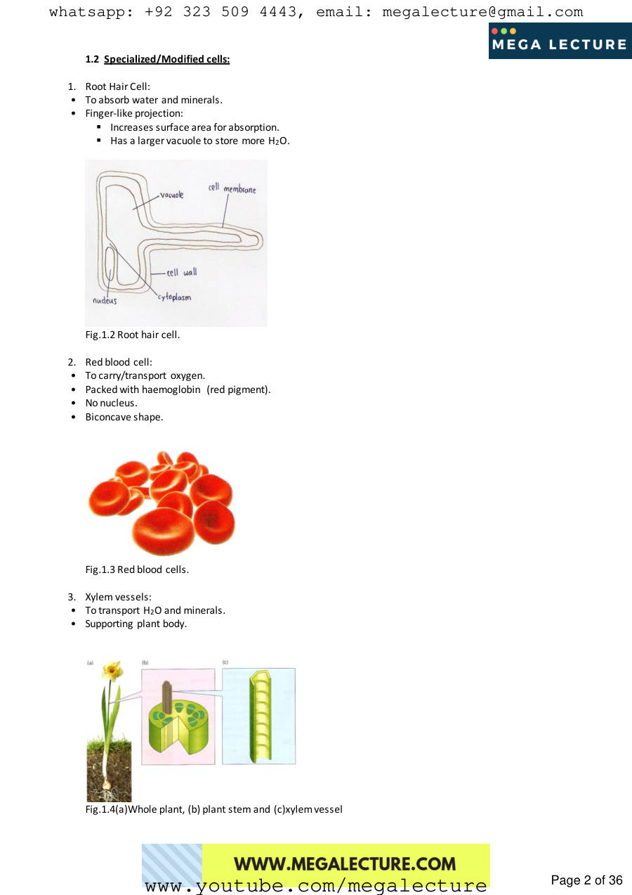 Page 2 of O Level Biology Notes