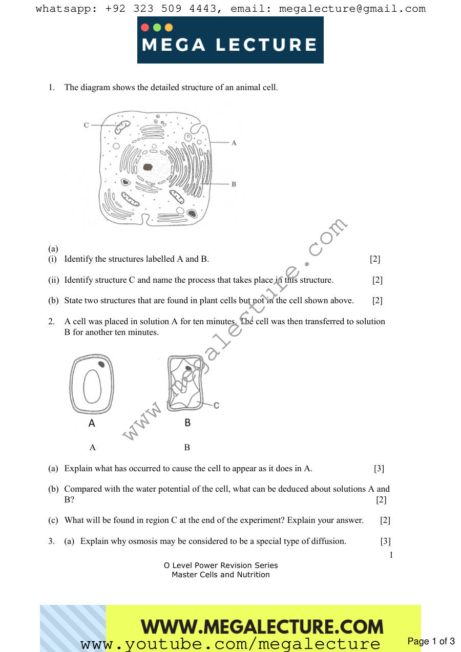 Page 1 of Biology Worksheet