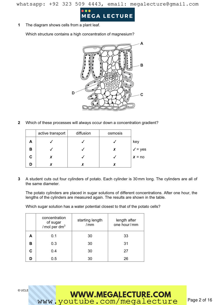 Page 2 of Paper 1 — Questions