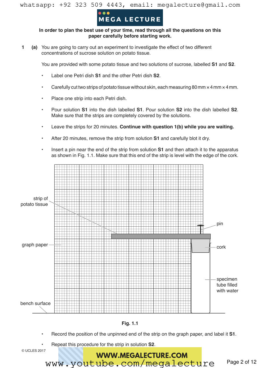 Page 2 of Paper 3 — Questions