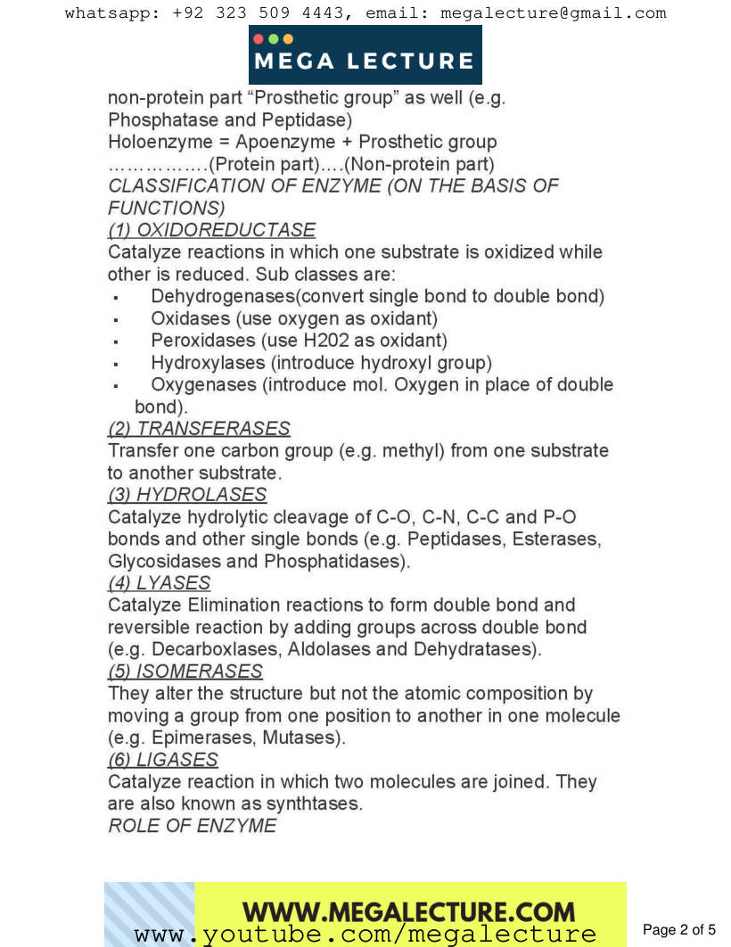 Page 2 of Chapter 3: Enzymes
