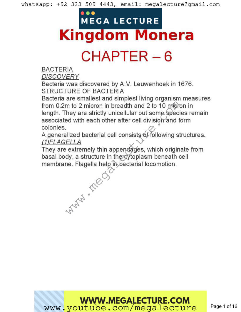Page 1 of Chapter 6: Kingdom Monera