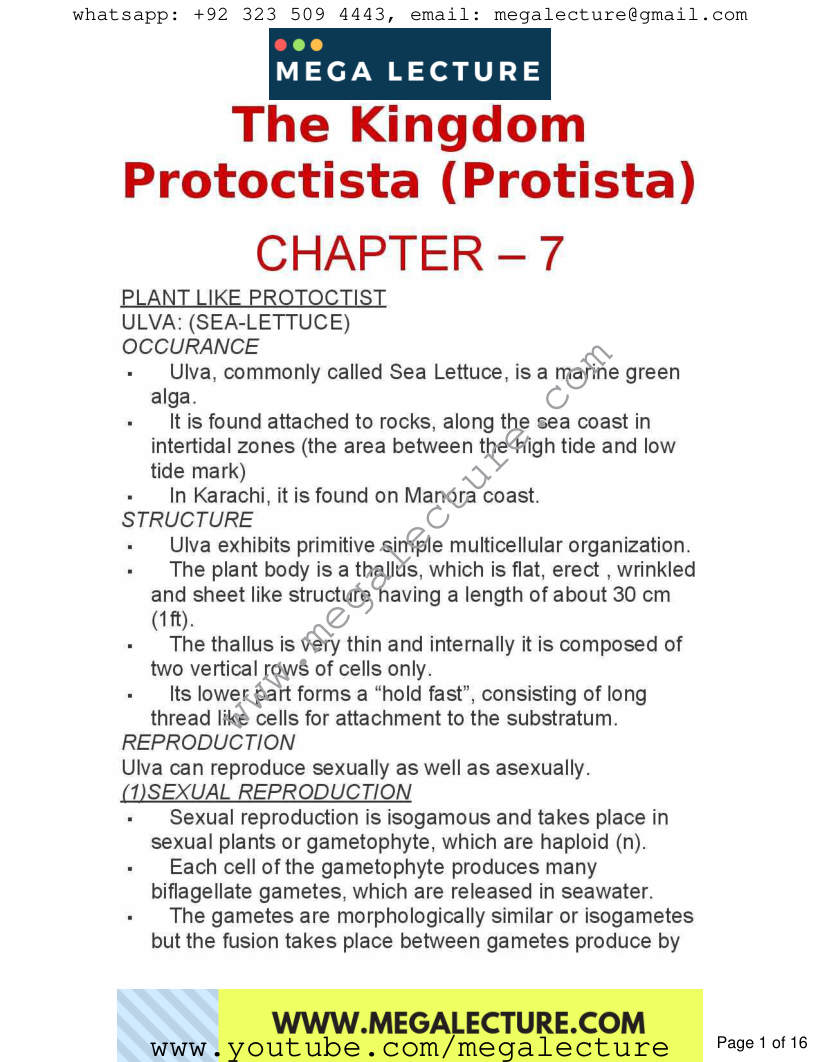 Page 1 of Chapter 7: Kingdom Protoctista