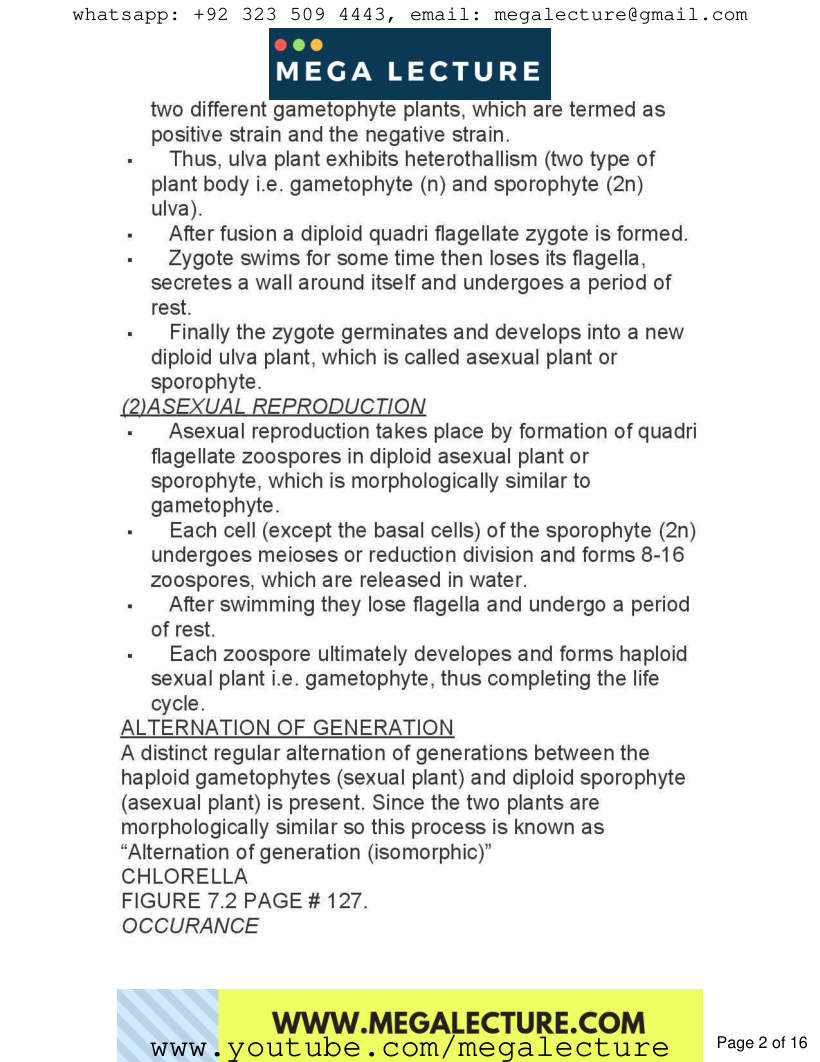 Page 2 of Chapter 7: Kingdom Protoctista