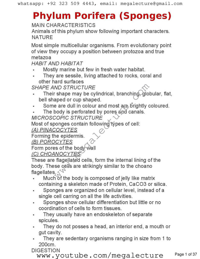 Page 1 of Chapter 10: Kingdom Animalia
