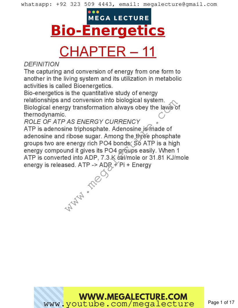 Page 1 of Chapter 11: Bioenergetic