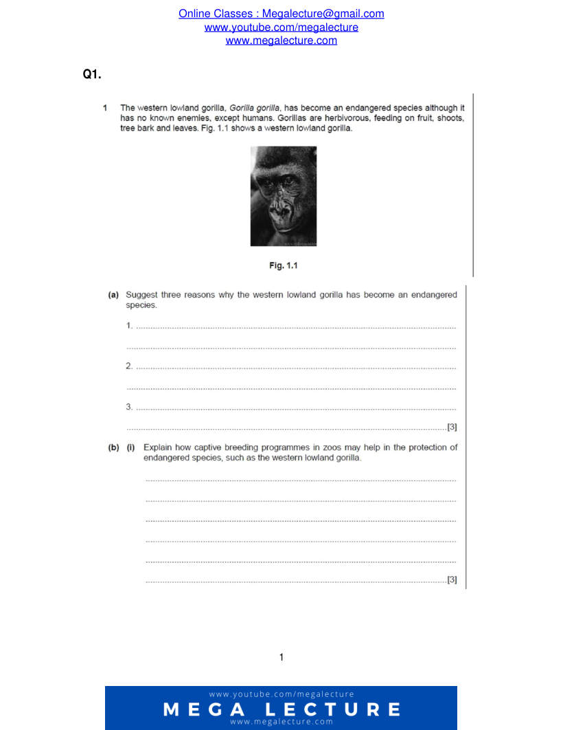 Page 1 of Questions